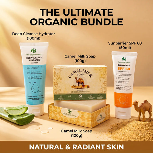 The Ultimate Daily Shield Bundle