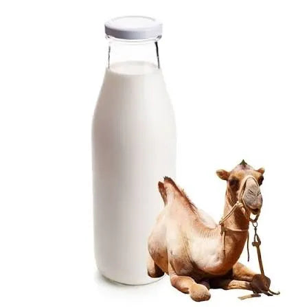 Camel Milk Infused